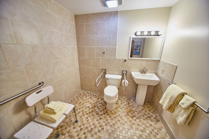 Best Bathroom Accessibility Contractors in Irmo, SC